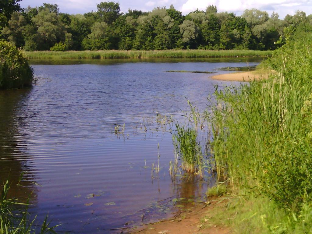 Elitasbb Leilighet Carnikava Rom bilde